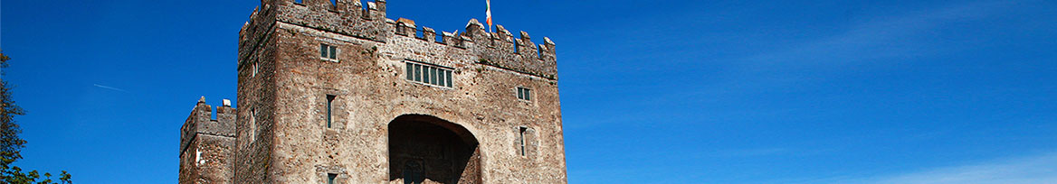 website-event-dcu-Limerick-Bunratty-Castle
